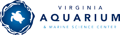 Virginia Aquarium Logo